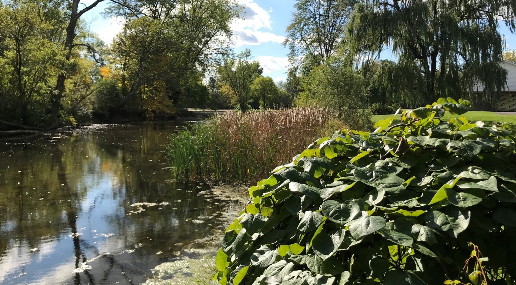 Penns Creek, Jackson Township