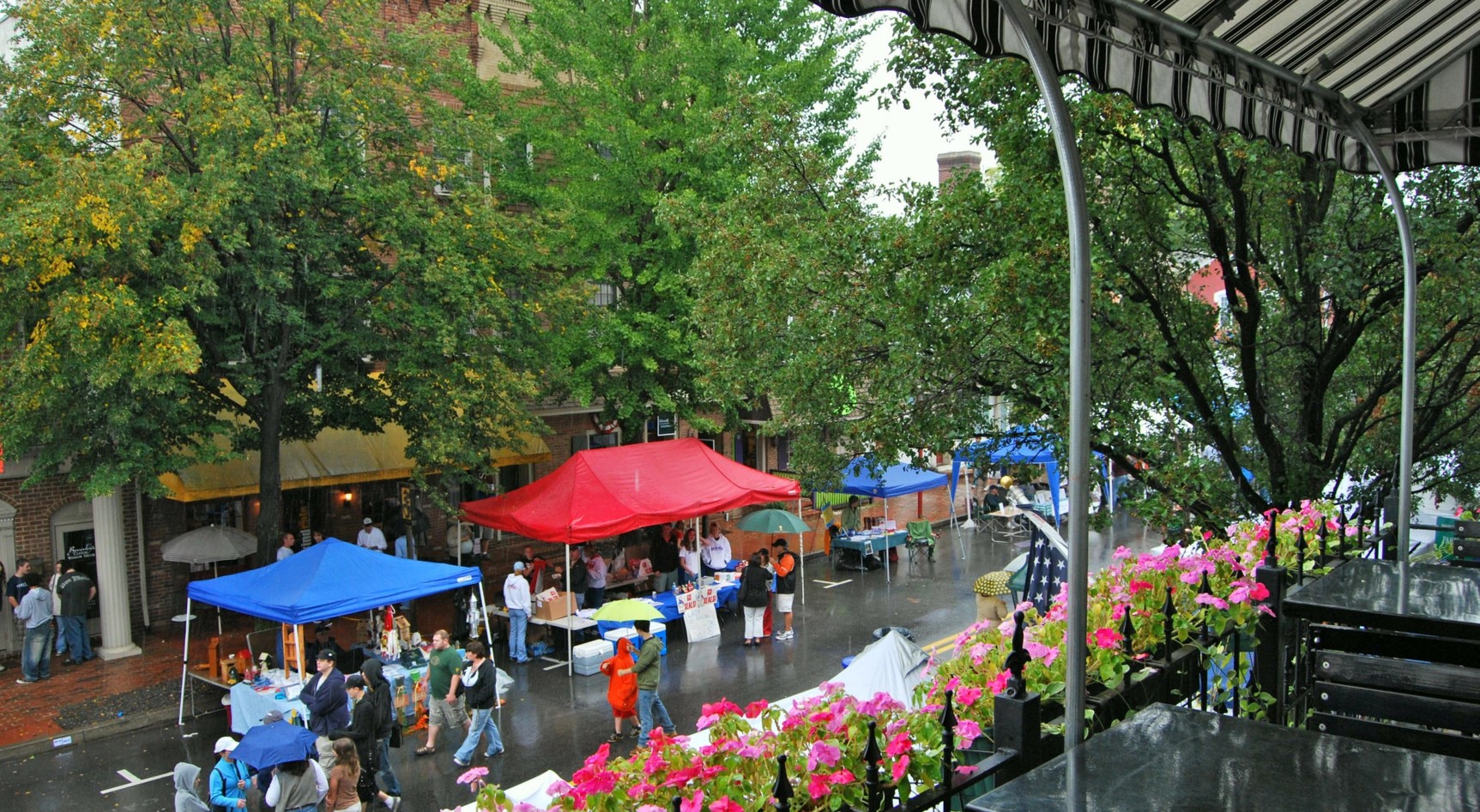 Annual Street Fair, Downtown Selinsgrove