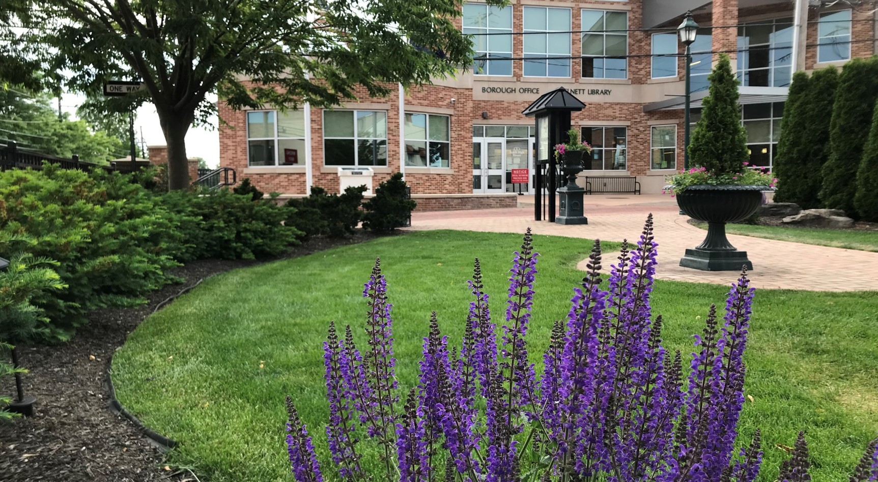 Selinsgrove Commons