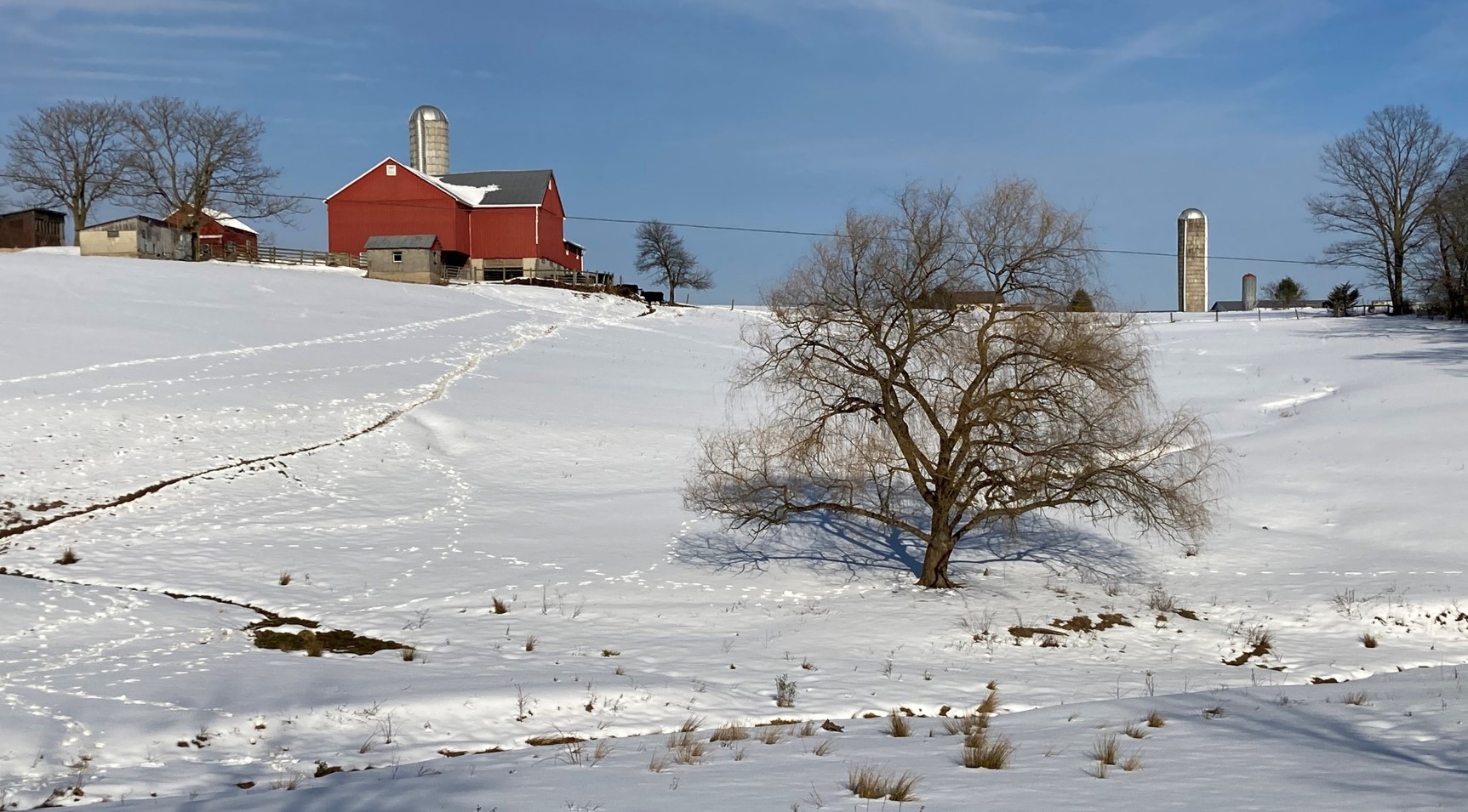 Winter Scene in Union Township