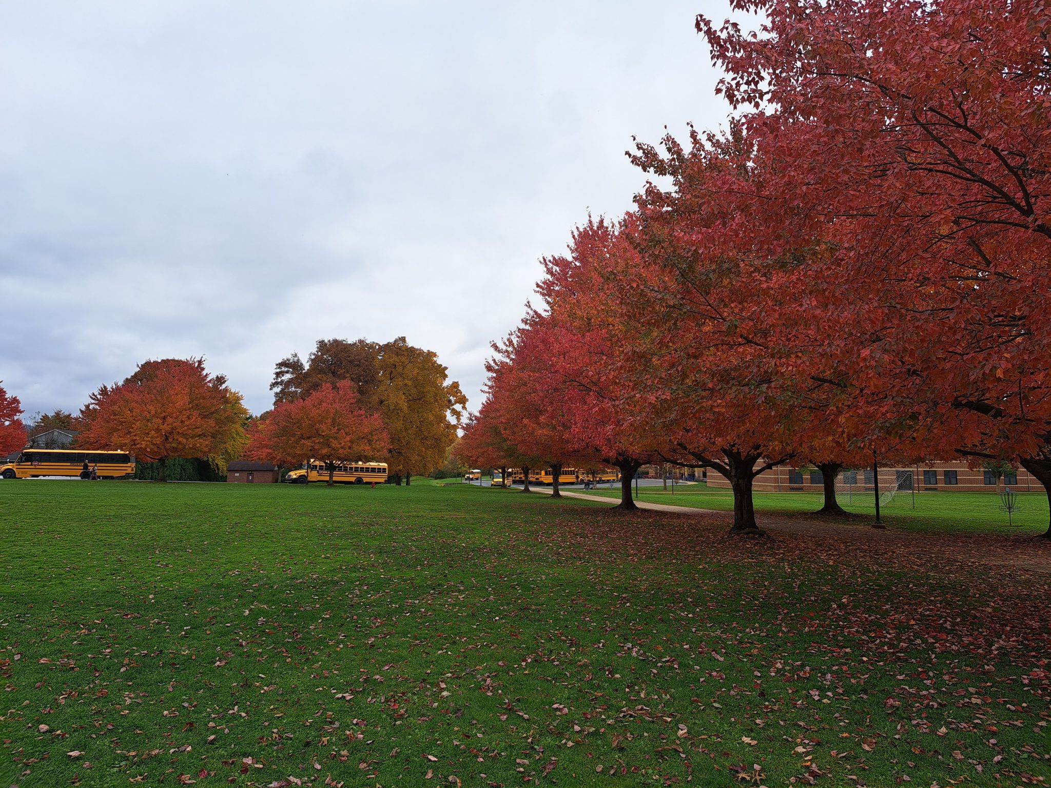 Fall Foliage around campus Selinsgrove Area School District