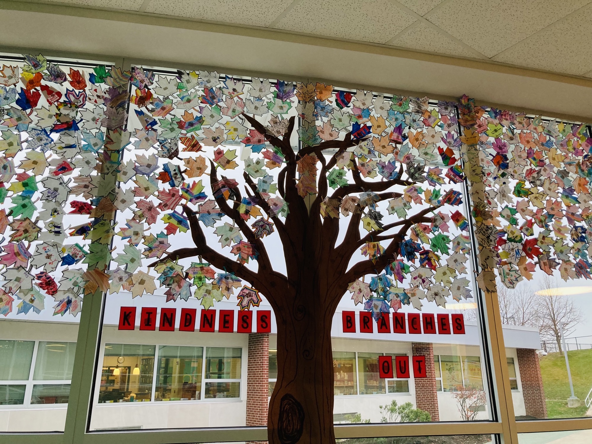 Kindness Branches Out at SAES for World Kindness Day!