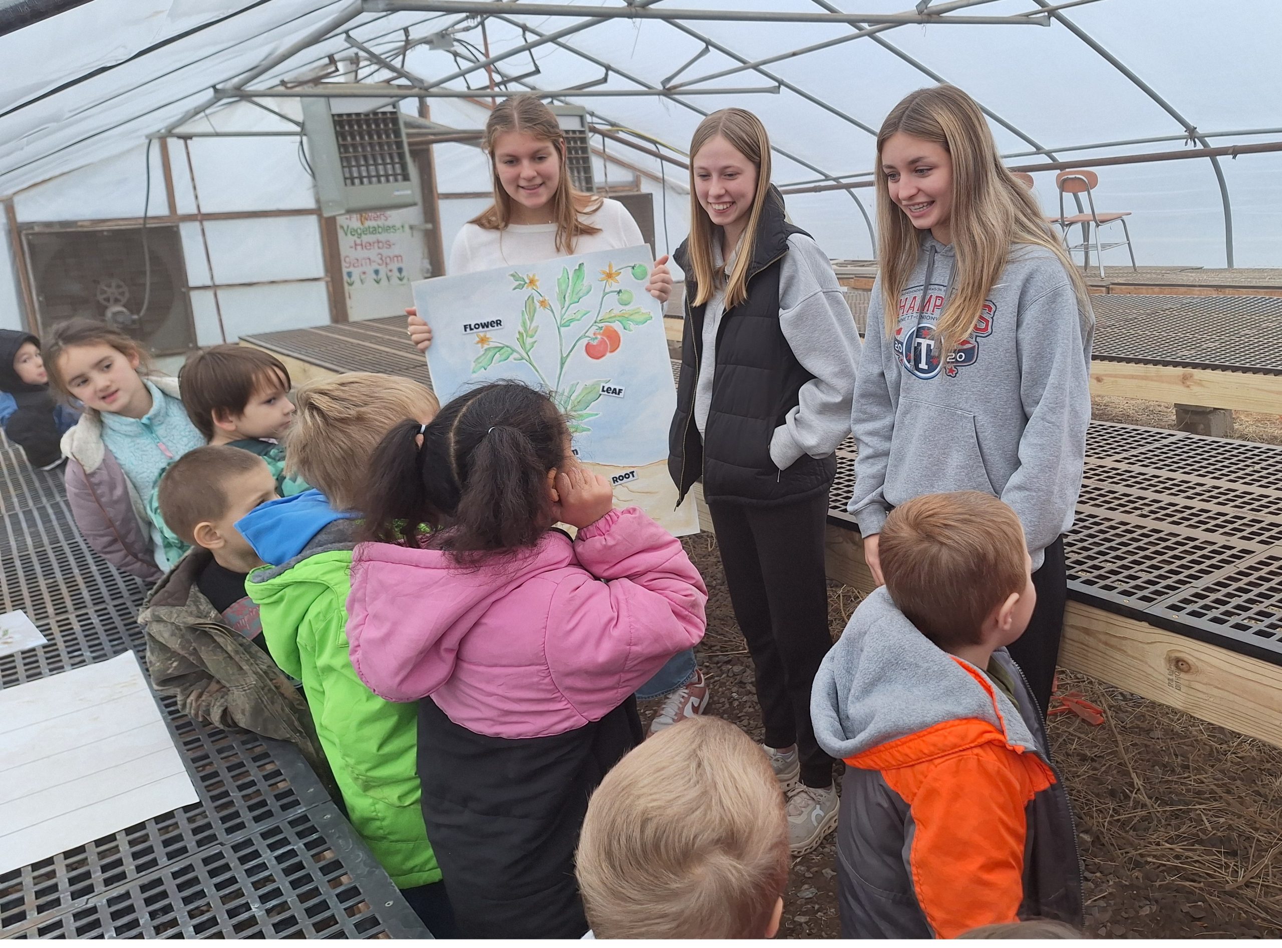 Learning the Parts of Plants – Greenhouse Style!