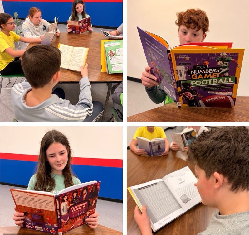 SAMS has been awarded the Mathical Book Grant!